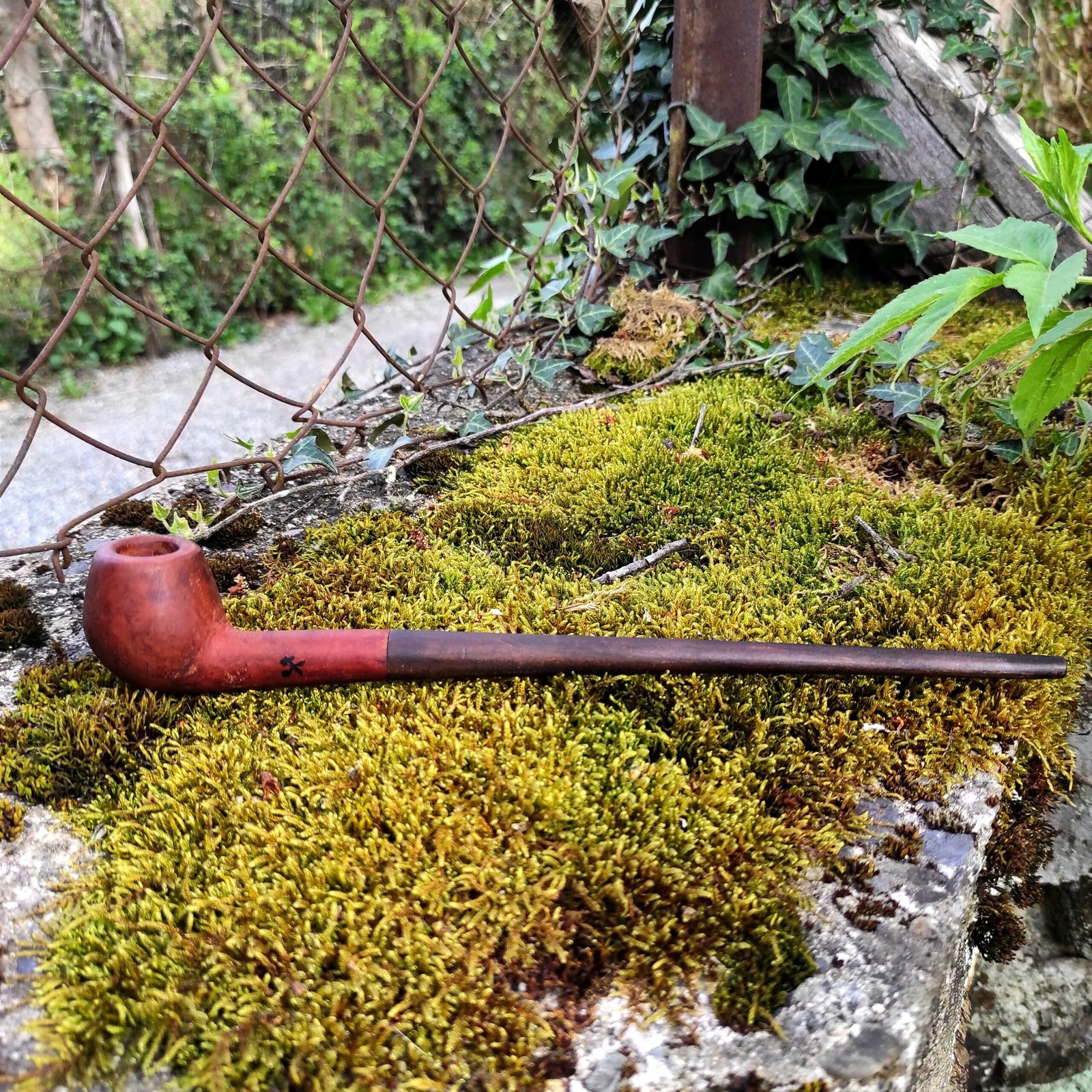 pipe épurée bruyère tilleul 30€