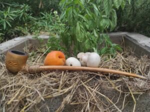 image de la reproduction de la pipe de Bilbo Baggins en buis et en chêne