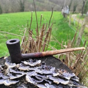pipe écorcée 2