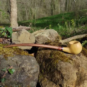 Pipe en buis
