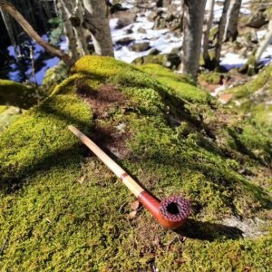 Pipe longue bruyère