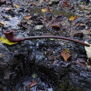 pipe très longue sculptée